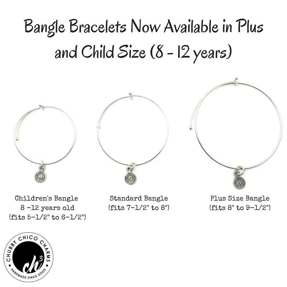 Apple A Day Keeps The Doctor Away Expandable Bangle Bracelet