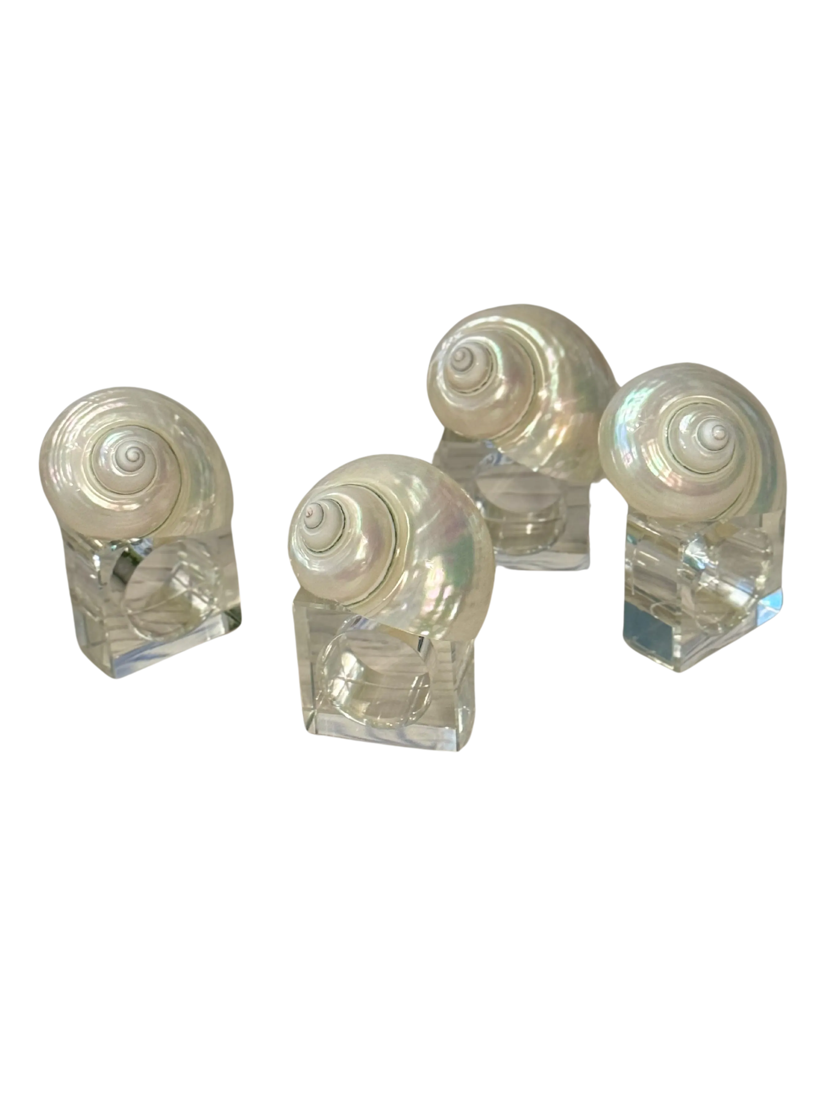 White Shell Napkin Rings with Lucite Ring (Set of 4)