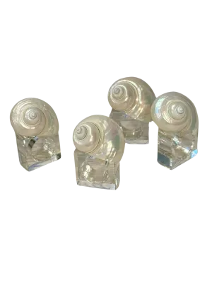 White Shell Napkin Rings with Lucite Ring (Set of 4)